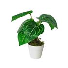 Arranjo de Planta Artificial em Vaso de Plástico