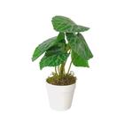 Arranjo de Planta Artificial em Vaso de Plástico - Melhores Ofertas