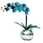 Arranjo Flores 1 Orquídea Azul Toque Real Vaso Prata