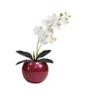 Arranjo Flores Orquídea Artificial Branca E Vaso - Vermelho