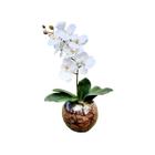 Arranjo Flores Orquídea Branca Toque Real E Vaso - La Caza Store