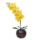 Arranjo Flores Orquídea Flores Amarela No Vaso Terrário