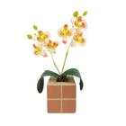 Arranjo Mini Orquídea em Vasinho Quadrado Cachepot