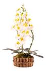 Arranjo Orquídea Artificial Branca