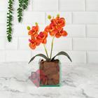 Arranjo Orquídea Artificial + Vaso Vidro com Cascalho