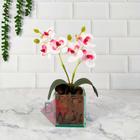 Arranjo Orquídea Artificial + Vaso Vidro com Cascalho