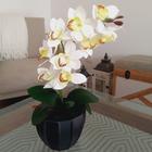 Arranjo orquidea branca toque real com vaso preto 50ax20l/cm