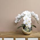 Arranjo Orquídeas de Silicone Brancas no Vaso Prateado Formosinha
