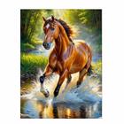 Artesanato Pintura Diamante Diy 30x40 - HORSE - PPSHOP