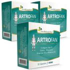 Artrofan - - 500Mg - 03 Caixas