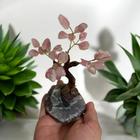 Árvore Bonsai da Felicidade em Pedra Natural Quartzo Rosa