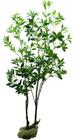 Arvore Planta Permanente Folha Verde Folhagem 174cm Premium