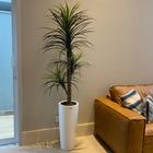 Árvore Yucca Artificial 150cm Planta Permanente no Gesso + Vaso - Decore Fácil Shop