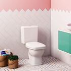 Assento Primula Plus/amarilis/laguna Polipropileno Convencional