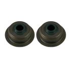 Assentos Mola da Válvula Motor B4T 7.0/6.5/5.5hp - 19204360