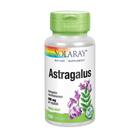 Astragalus 100 cápsulas da Solaray (pacote com 2)