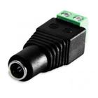 At- Conector Plug P4 Femea Com Borne Caixa Com 1500Pcs (Pa)