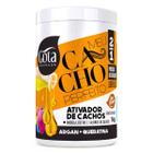 Ativador 2 em 1 Meu Cacho Perfeito Argan 1Kg - Gota Dourada