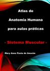 ATLAS DE ANATOMIA HUMANA PARA AULAS PRáTICAS - SISTEMA MUSCULAR - CLUBE DE AUTORES