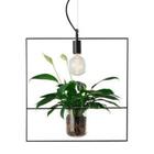 Avant Pendente Nature Qua Aco Pf 1lamp E27 489330001 Avant