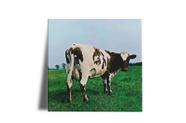 Azulejo Decorativo Pink Floyd Atom Heart Mother 15x15 - Starnerd