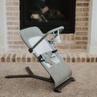 Baby Delight Go With Me Alpine Deluxe Portable Bouncer, Charcoal Tweed