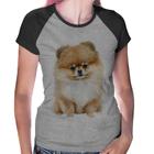 Baby Look Raglan Cachorro Spitz Alemão Lulu da pomerânia - Foca na Moda