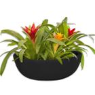 Bacia Suculenta Vaso Flor Planta Jardim Polietileno CD11