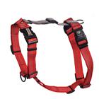 Balança refletiva Harness Blue-9 com fivela e pescoço para cães Red M/L