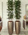 Bambu artificial 8 hastes /o vaso não acompanha - Toke Verde