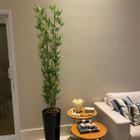 Bambu Mossô Artificial 5 Hastes Planta Alta No Gesso + Vaso - Decore Fácil Shop