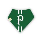 Bandana PET Palmeiras Palestra Verde