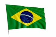 Bandeira Brasil Dupla Face P/ Hasteamento 1x1,45M - Seriarte Digital