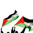 Bandeira Da Palestina Oficial Grande 1,5m X 0,90 Mundial