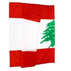 Bandeira Do Líbano 150x90cm Poliéster 2024