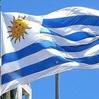 Bandeira Do Uruguai 1,50X0,90Mt 100% Poliéster Países 2023