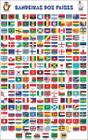 Bandeiras Dos Países Escolar Painel Lona