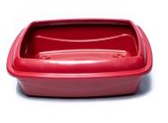 Bandeja Alta C/Borda Master Cat G Pet Injet Caixa de Areia para