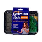 Bandeja Germinadora Germina Bem Hortaliças All Garden