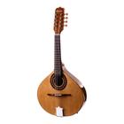 Bandolim Rozini Rb21Eln Eletroacustico Natural