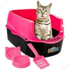 Banheiro Caixa De Areia Para Gatos Sanitário Pet C/ Acessórios