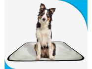 Banheiro canino móvel reutilizável pet 1un M 60x80 cm