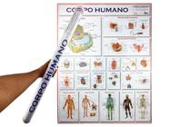 Banner Mapa Anatomia do Corpo Humano 120x90CM Para Estudo Biologia Pôster Medicina