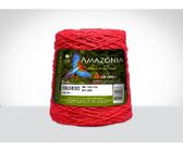 Barbante Amazonia 4/8 São João - 461m - 620g - Ordem 8