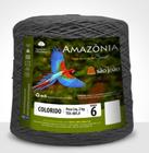 Barbante Amazônia São João N.06 2Kg - Textil São João