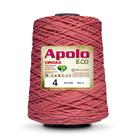 Barbante Apolo Eco 600g Fio 4 Crochê Tricô - Círculo