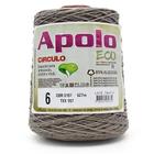 Barbante Apolo Eco nº06 600g