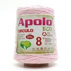 Barbante Apolo Eco nº08 600g - CÍRCULO