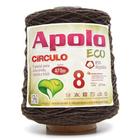 Barbante Apolo Eco nº08 600g