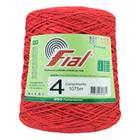 Barbante Fial Colorido 700g N04